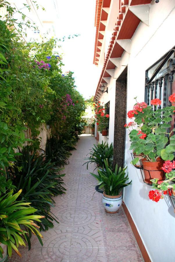 Apartamentos Inter Gandia Playa Exteriör bild
